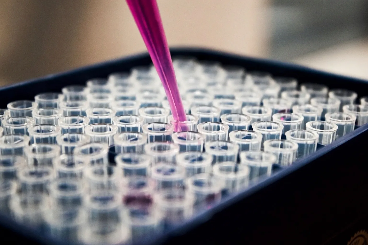 New EMA Draft Guideline Targets Hidden Drug Interactions in the Gastrointestinal Tract